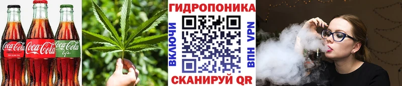 дарнет шоп  Шилка  Cannafood конопля 