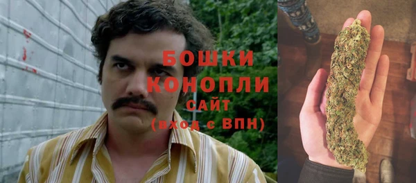 бошки Алексин