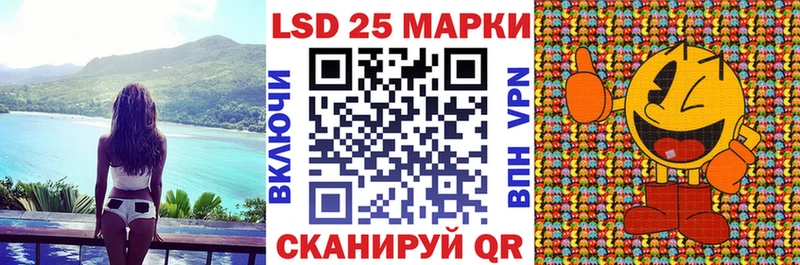 купить наркотики цена  гидра маркетплейс  Марки N-bome 1,8мг  Шилка 
